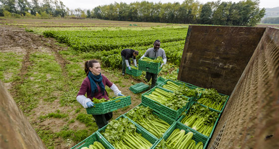 Livrets d'accueil des travailleurs saisonniers